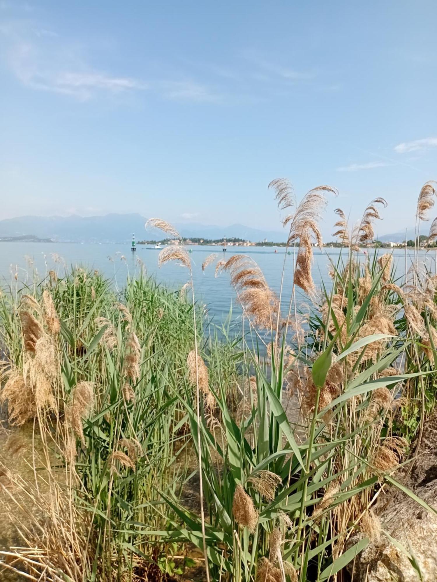 Miragarda Sirmione Apartment ภายนอก รูปภาพ